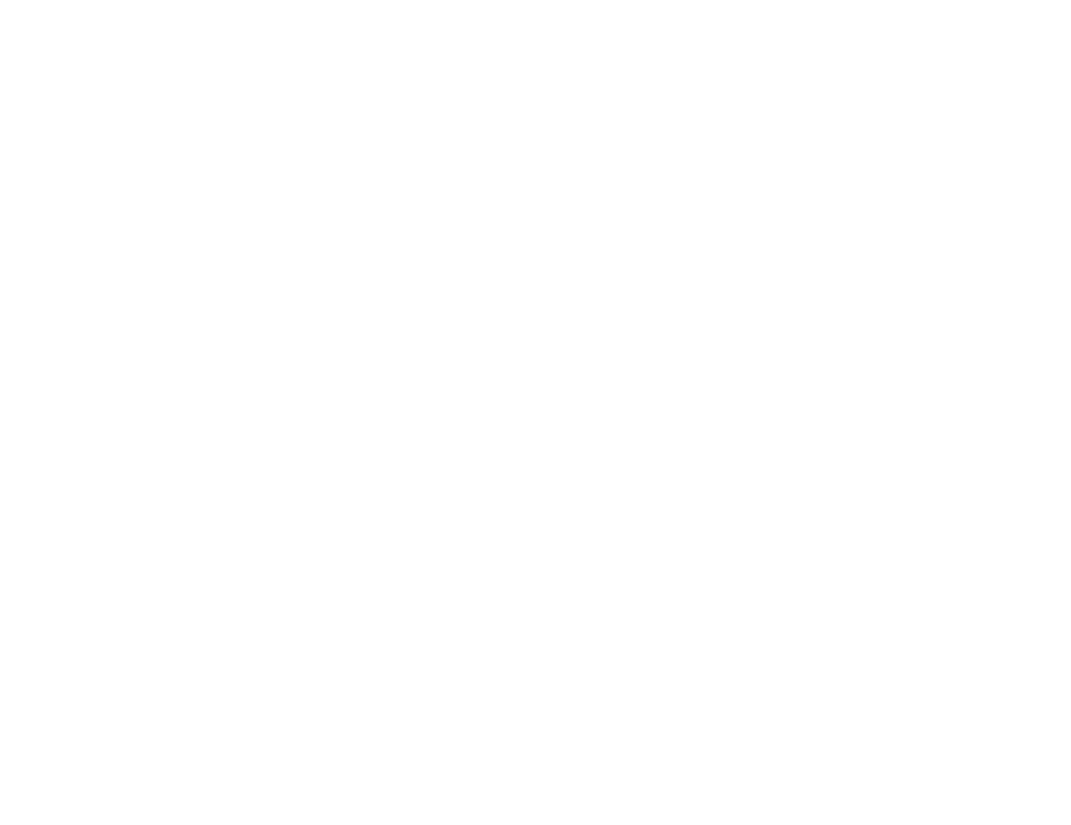COMPREHENSIVE VEHICLE INSPECTION REPORT