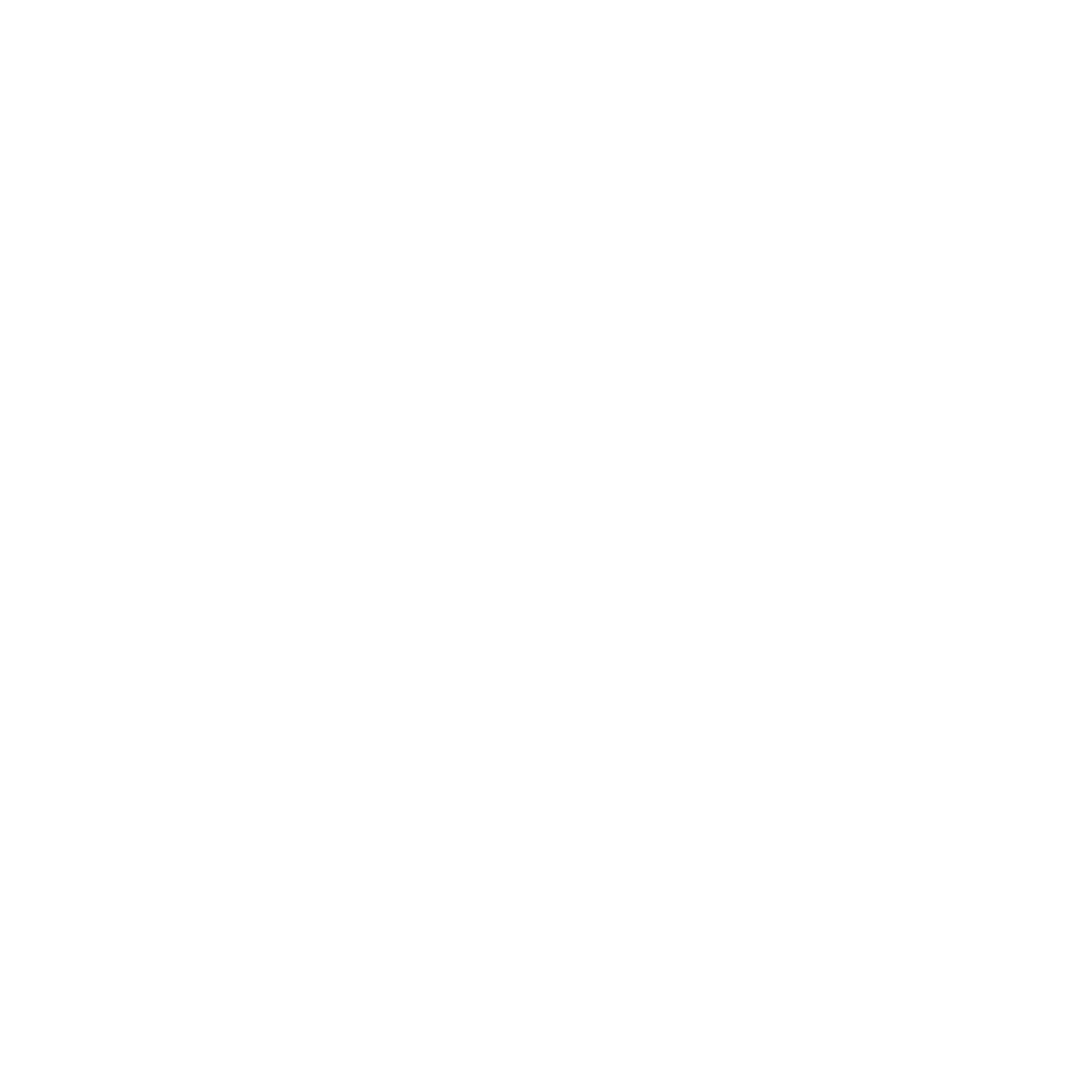 COMPREHENSIVE VEHICLE INSPECTION REPORT