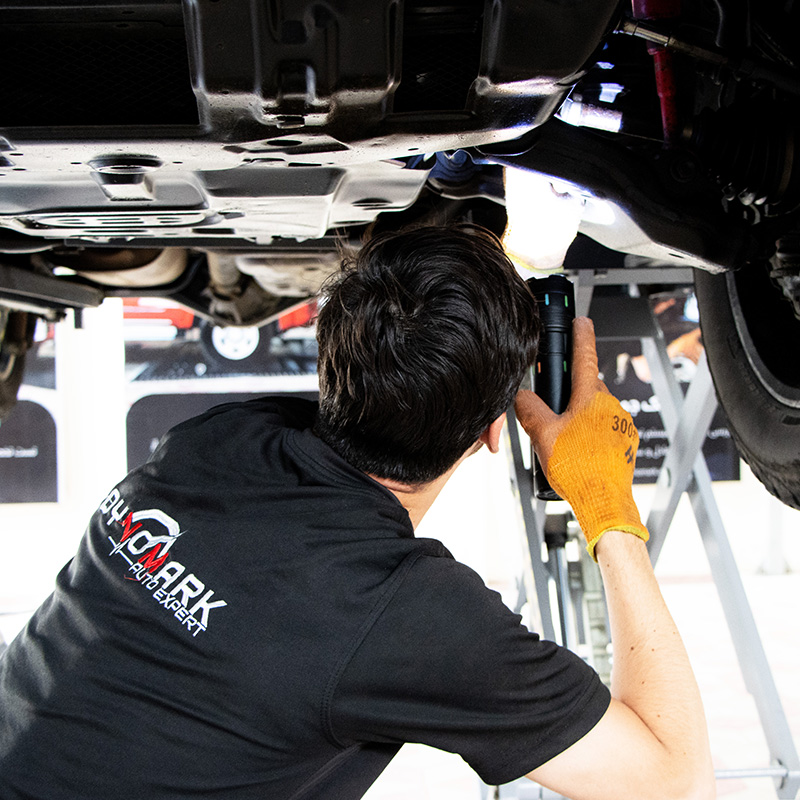 Chassis & Underbody Inspection