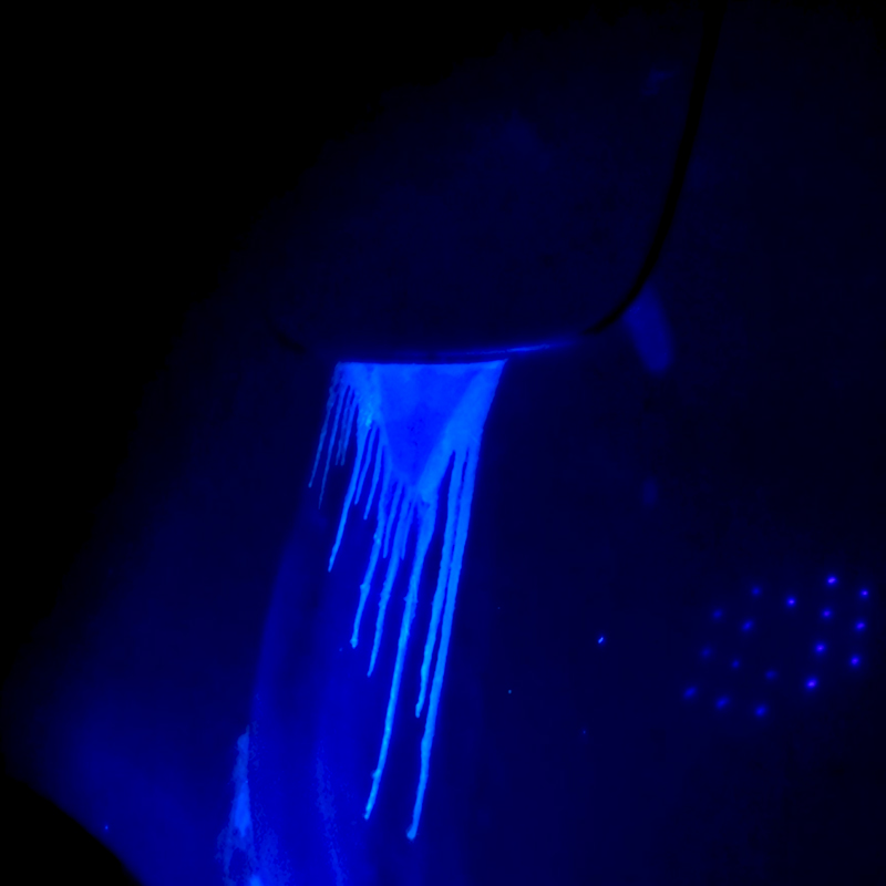 Blue Light Inspection